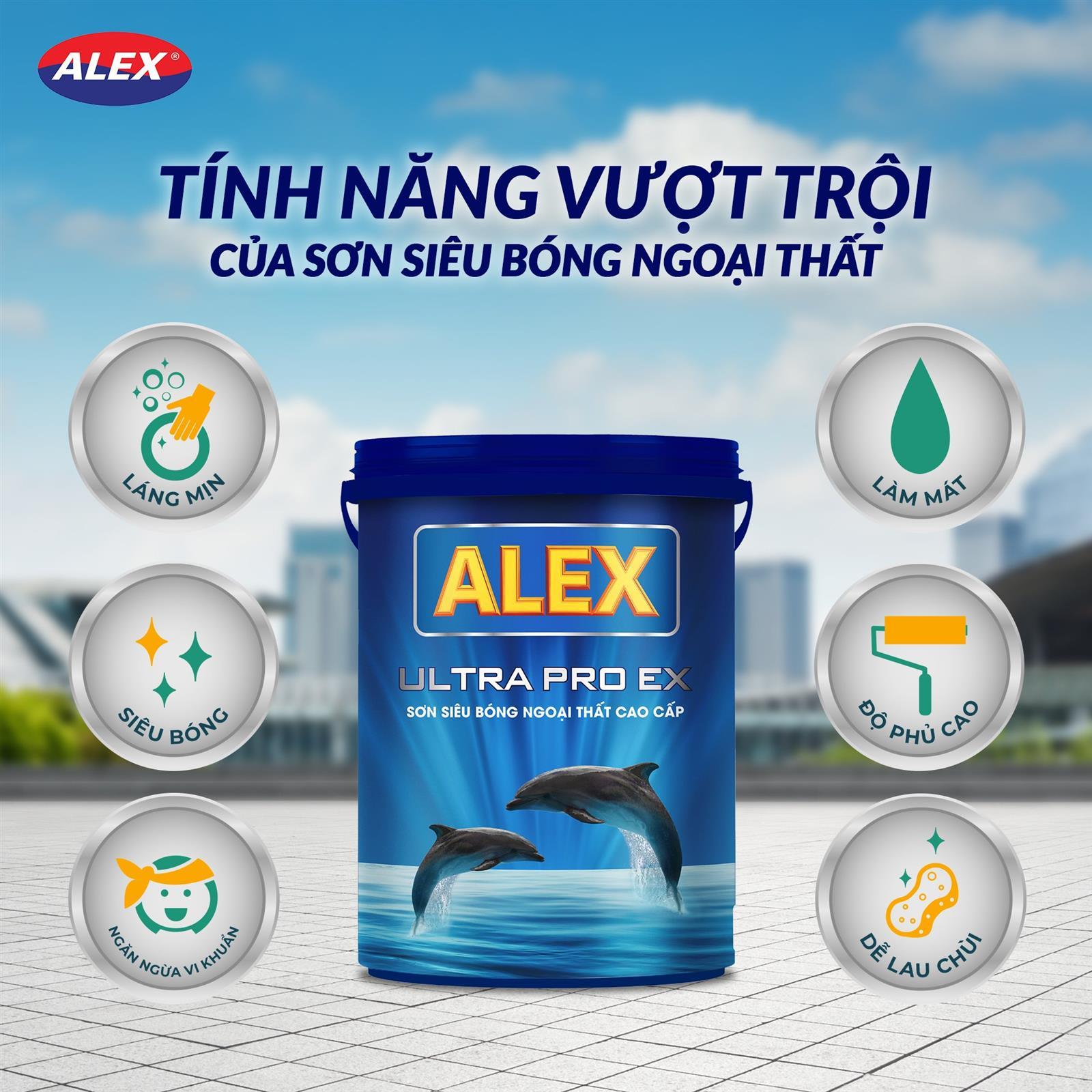 sơn alex