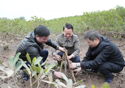 Bộ TN&MT phát động “Tết trồng cây đời đời nhớ ơn Bác Hồ” tại Thái Bình