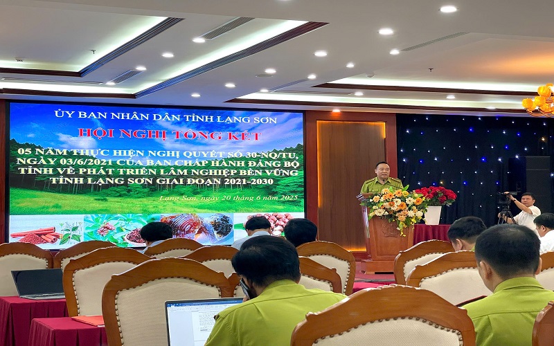 Hạt Kiểm lâm Đình Lập: Điểm sáng trong phát triển lâm nghiệp bền vững ở Lạng Sơn