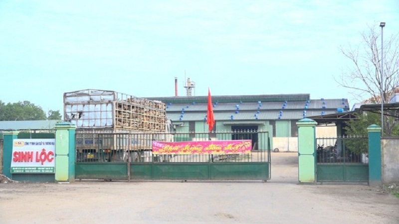 Quảng Ngãi: Phạt Công ty Sinh Lộc 330 triệu đồng do xả thải chứa chất Xyanua vượt quy định hơn 21 lần
