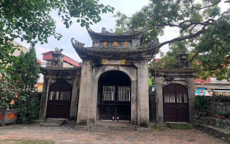 Cây nhãn tiến vua gần 400 năm tuổi tại chùa Hiến - Chứng nhân lịch sử của phố Hiến