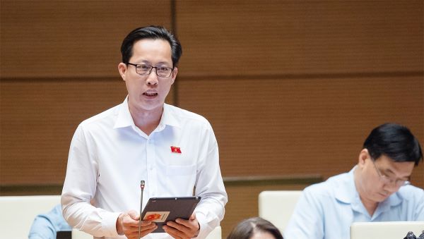 Đại biểu Quốc hội đề nghị quy định rõ về phân loại đất