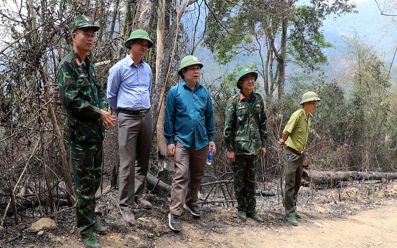 Lạng Sơn: Kiểm lâm Chi Lăng giữ vững vai trò nòng cốt trong quản lý, bảo vệ và phát triển rừng