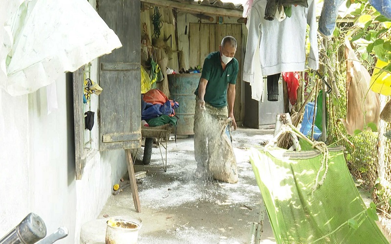 Ninh Bình: Quyết liệt phòng, chống dịch tả lợn Châu Phi