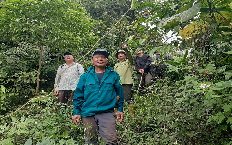 Kiểm lâm Tân Sơn quyết  liệt quản lý và phát triển rừng