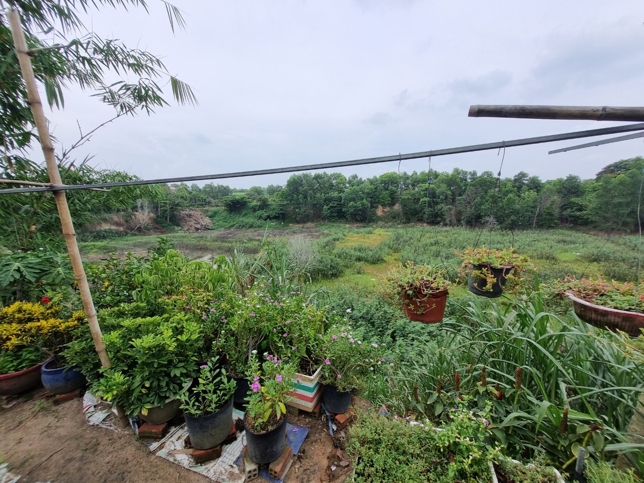 TP. Hồ Chí Minh: Hiểm họa từ hố sâu cạnh bãi rác Đông Thạnh
