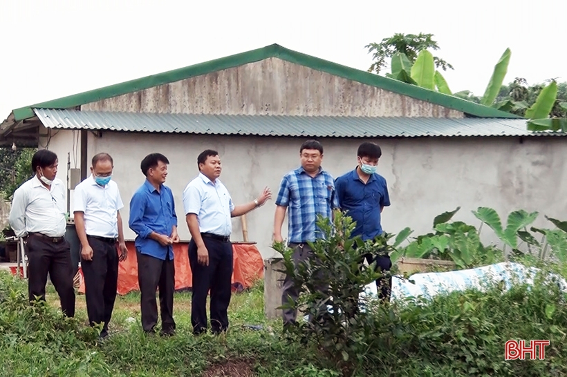 Quyết liệt xử lý ô nhiễm môi trường trong chăn nuôi ở Hương Khê