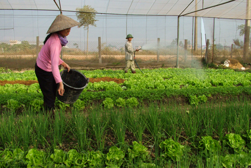Đảm bảo sinh kế bền vững khi Nhà nước thu hồi đất nông nghiệp từ đó đổi mới các hình thức bồi thường, hỗ trợ cho người dân