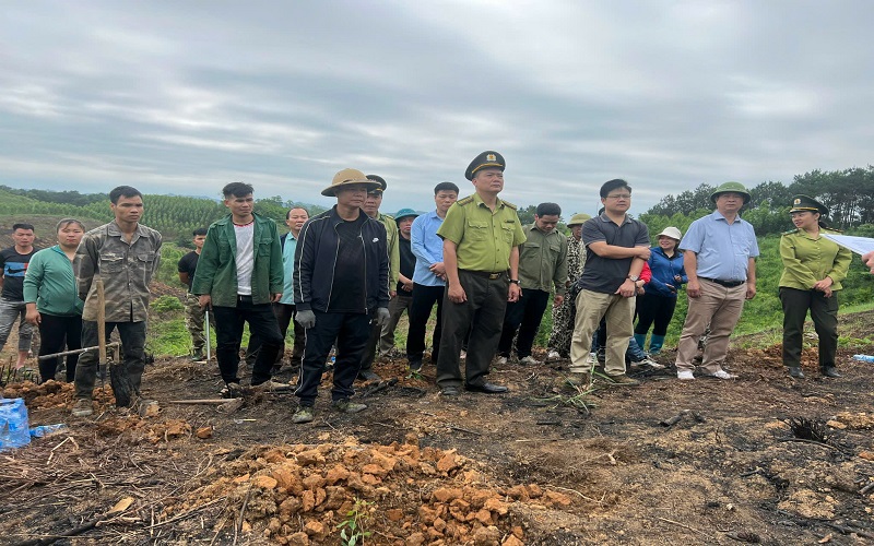 Kiểm lâm Lộc Bình siết chặt quản lý và bảo vệ, phát triển rừng