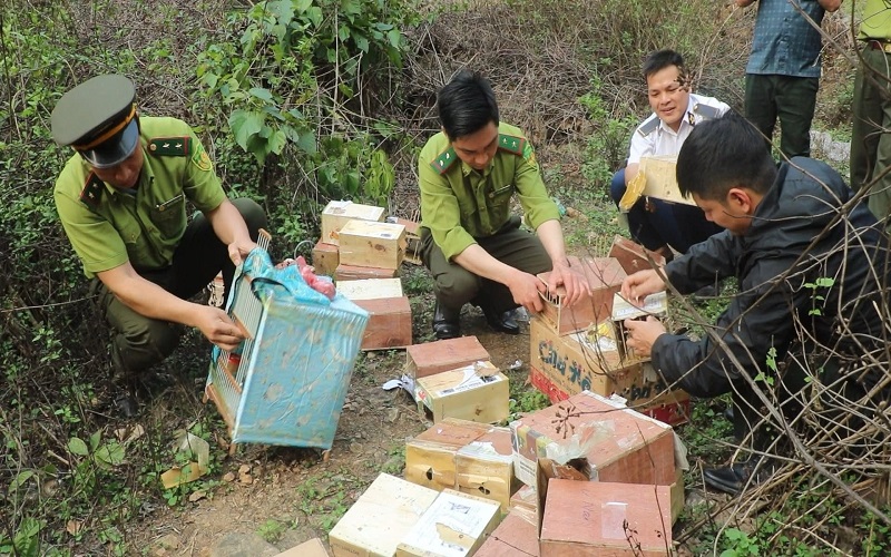 Lạng Sơn: Kiểm lâm Chi Lăng giữ vững vai trò nòng cốt trong quản lý, bảo vệ và phát triển rừng