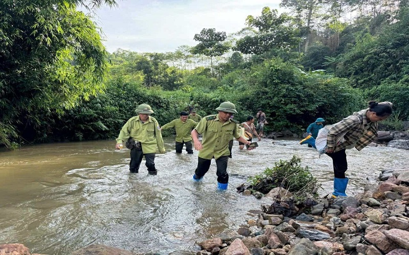 Kiểm lâm Tân Sơn quyết  liệt quản lý và phát triển rừng