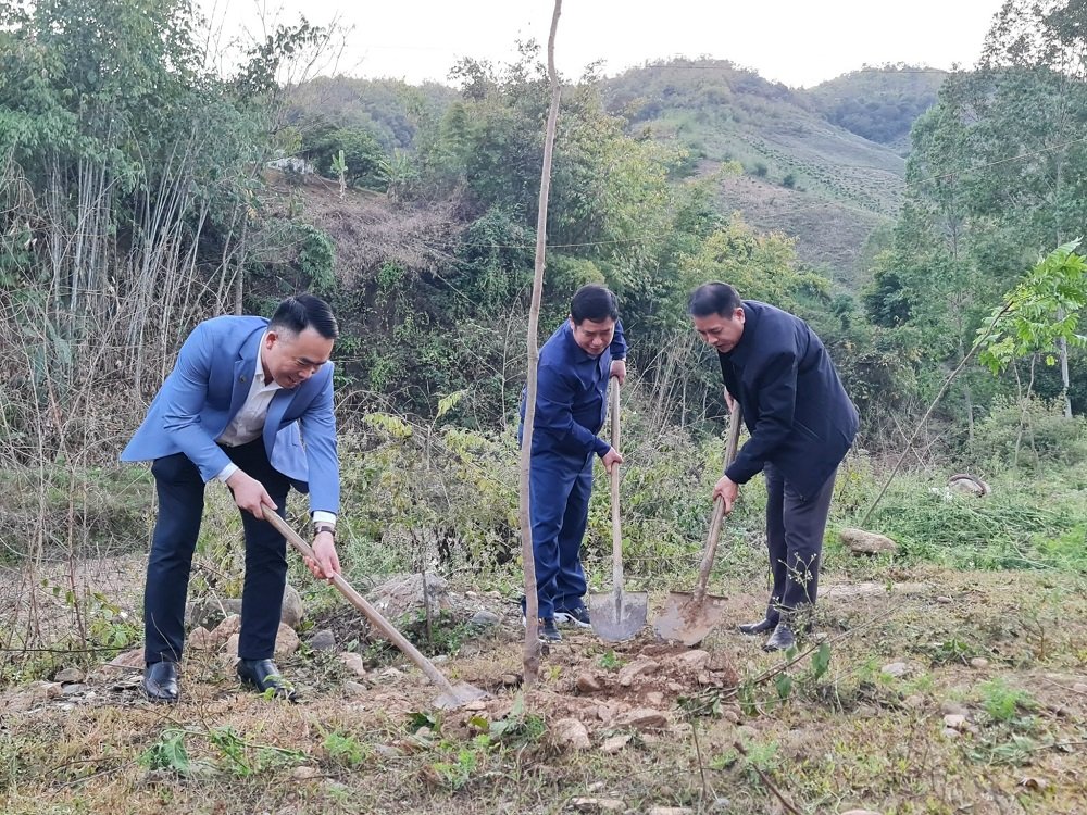 Tạp chí Tài nguyên và Môi trường trồng cây xanh chương trình 