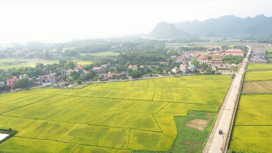 Luật Đất đai 2024: Cuộc “cách mạng” về đất nông nghiệp