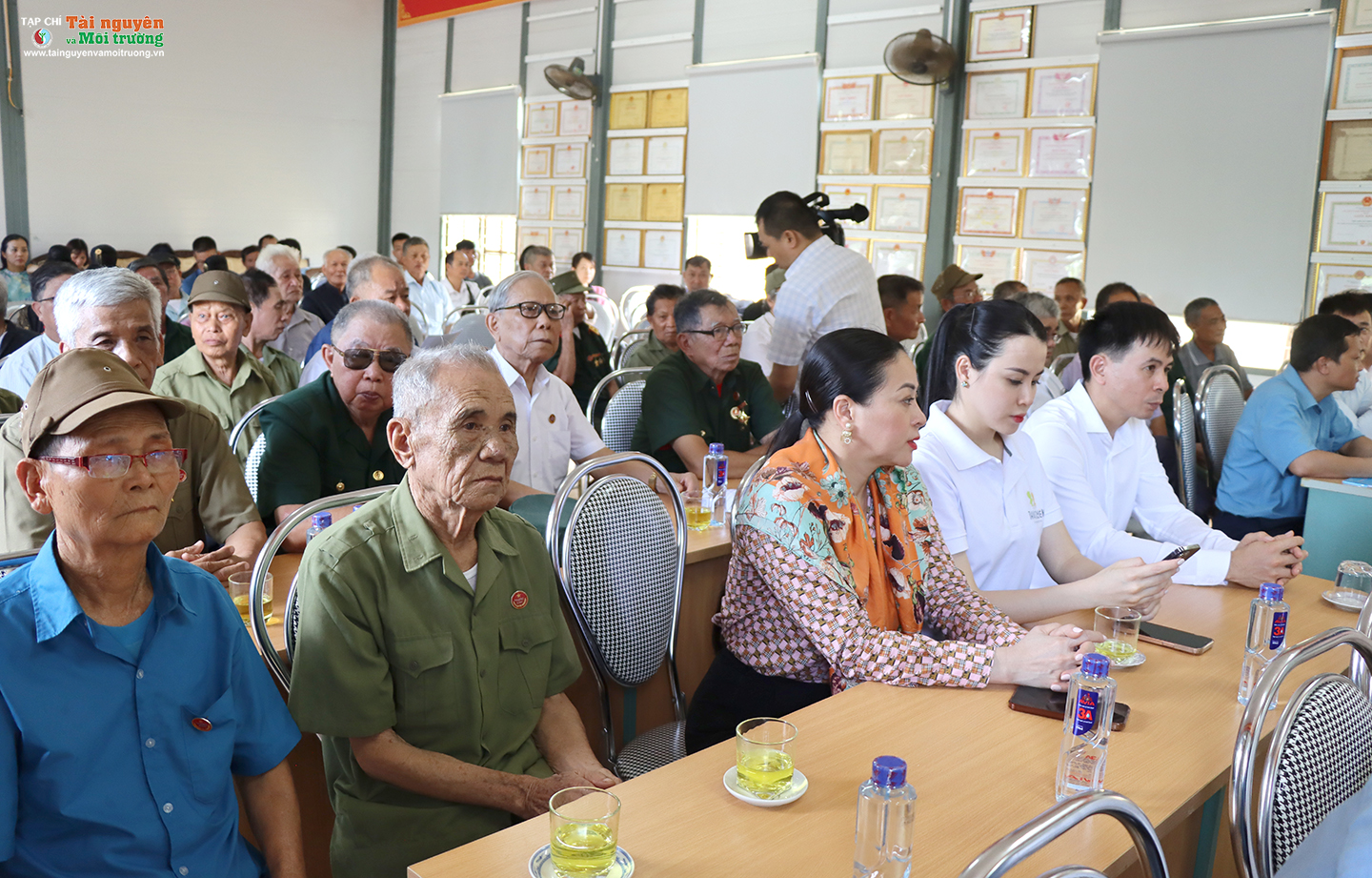 Ký ức màu xanh