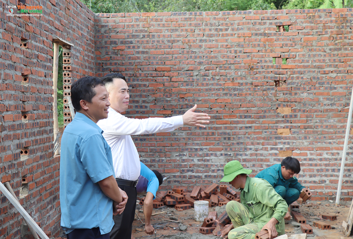 Ký ức màu xanh