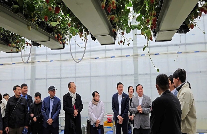 Long An: Hợp tác thúc đẩy lĩnh vực nông nghiệp ứng dụng công nghệ cao