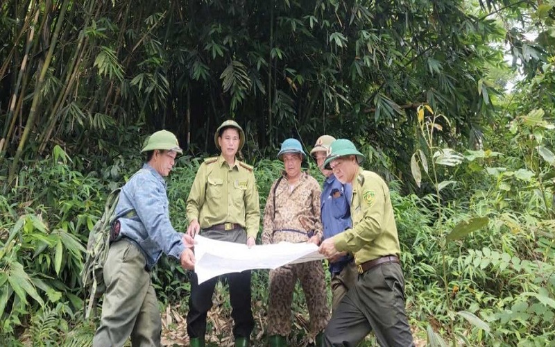 Kiểm lâm Yên Lập gìn giữ màu xanh đất Tổ