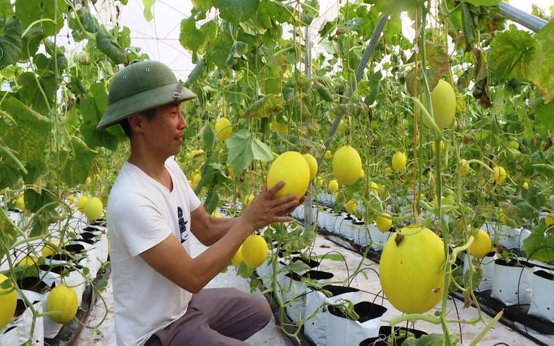 Ninh Bình: Giảm nghèo bền vững - Hành trình vì cuộc sống ấm no