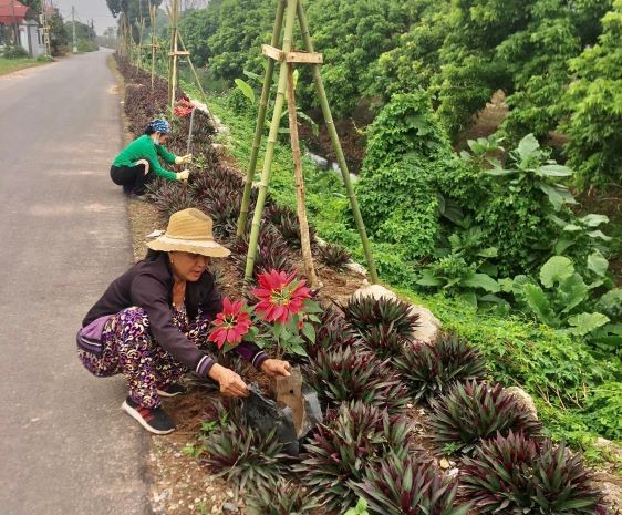Xã Tân Dân xây dựng môi trường xanh, sạch, đẹp