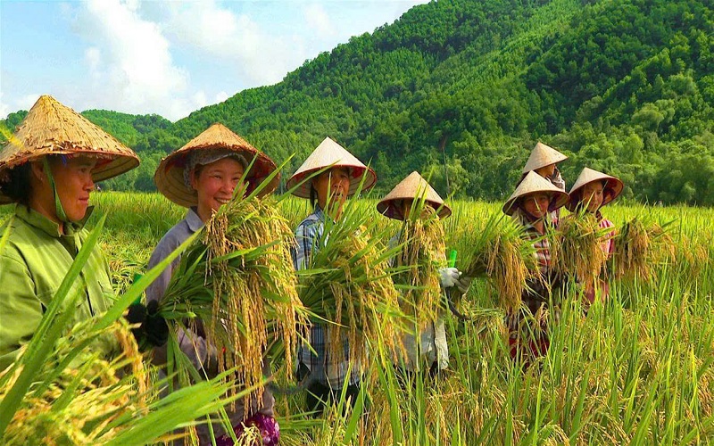 Phú Thọ: Phát huy bản sắc văn hóa nhằm phát triển du lịch làm động lực thoát nghèo