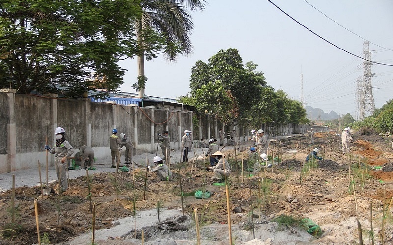 Công ty Nhiệt điện Cẩm Phả - TKV: Chú trọng bảo vệ môi trường hướng đến phát triển bền vững