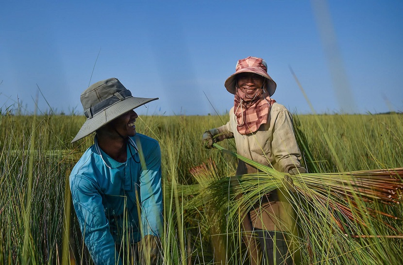 Tìm giải pháp phát triển bền vững cho “vùng đất ngập nước nguyên thủy” lớn nhất ĐBSCL