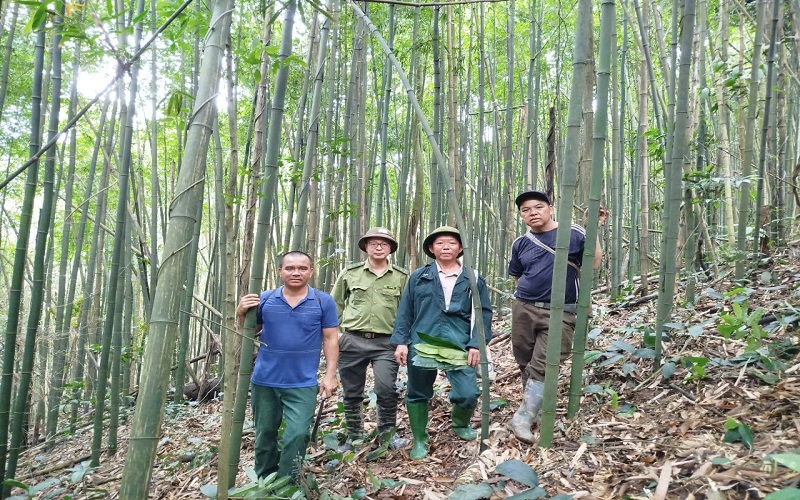 Tuyên Quang: Kiểm lâm chủ động giữ rừng gắn với phát triển vùng dân tộc