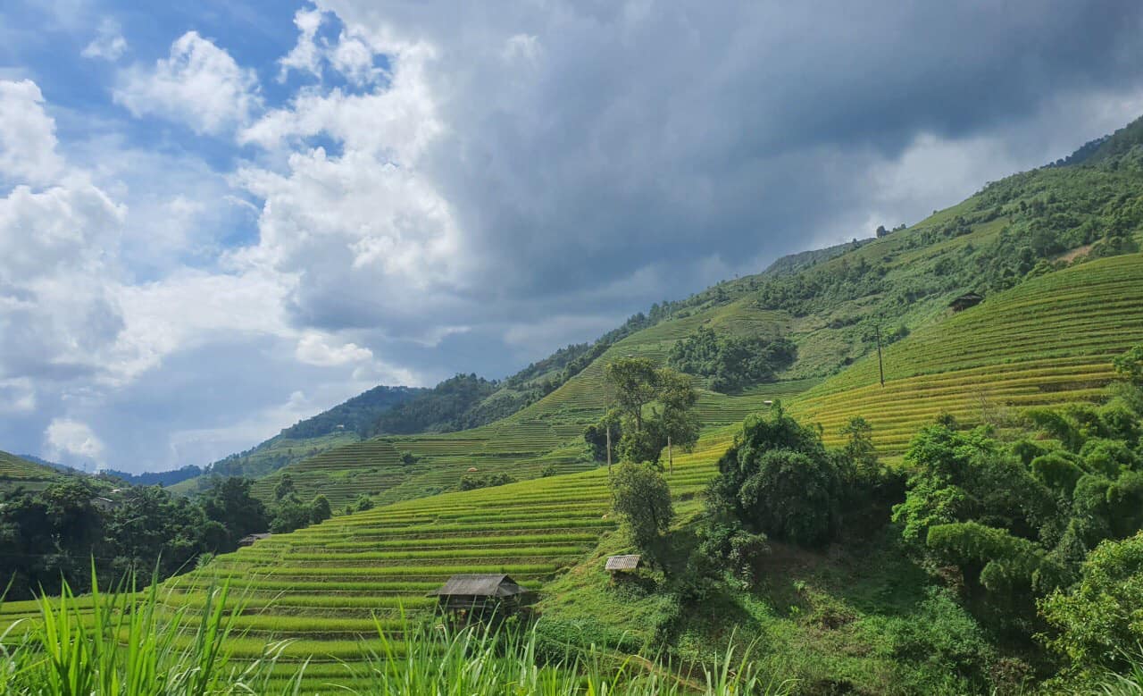 Thời tiết ngày 15/9: Bắc Bộ chuẩn bị mưa lớn diện rộng, đề phòng lũ quét sạt lở đất vùng núi và trung du