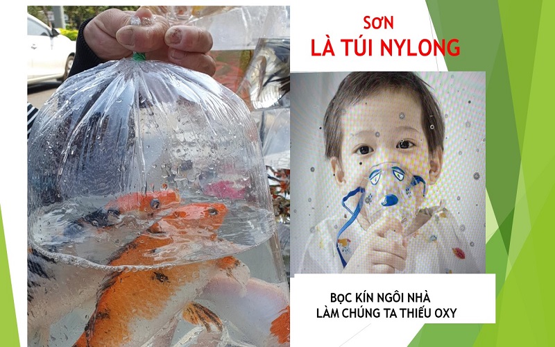 Những tác hại của sơn nhựa với môi trường và sức khỏe con người