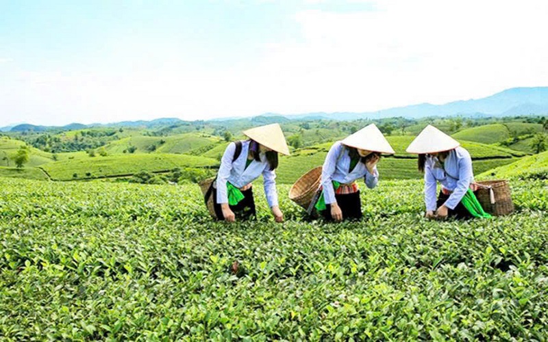 Phú Thọ: Phát huy bản sắc văn hóa nhằm phát triển du lịch làm động lực thoát nghèo