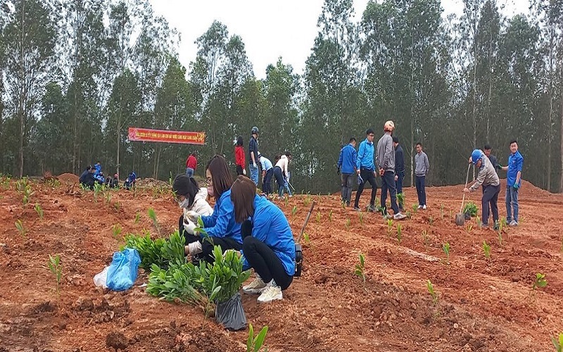 Tổng Công ty Công nghiệp mỏ Việt Bắc - TKV: Chú trọng bảo vệ môi trường trong sản xuất kinh doanh