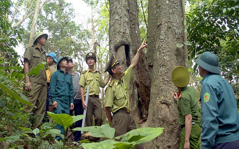 Tuyên Quang: Kiểm lâm chủ động giữ rừng, gắn với phát triển vùng dân tộc