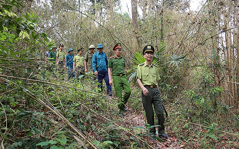 Tuyên Quang: Kiểm lâm chủ động giữ rừng, gắn với phát triển vùng dân tộc