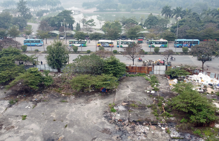 Khu đất này bị bỏ hoang nhiều năm với nhiều cây dại.
