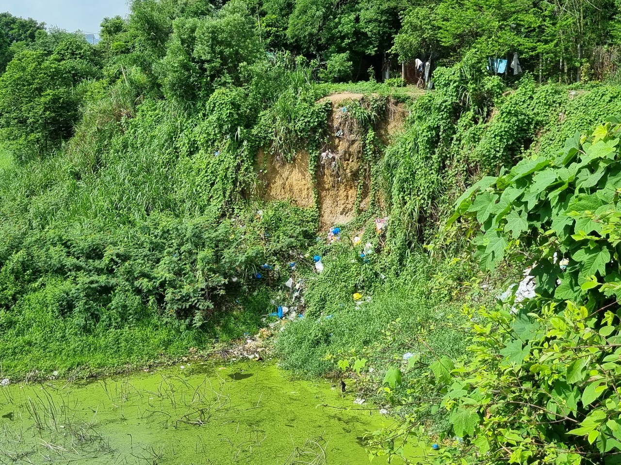 TP. Hồ Chí Minh: Hiểm họa từ hố sâu cạnh bãi rác Đông Thạnh