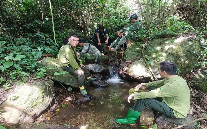Kiểm lâm Tân Sơn quyết  liệt quản lý và phát triển rừng