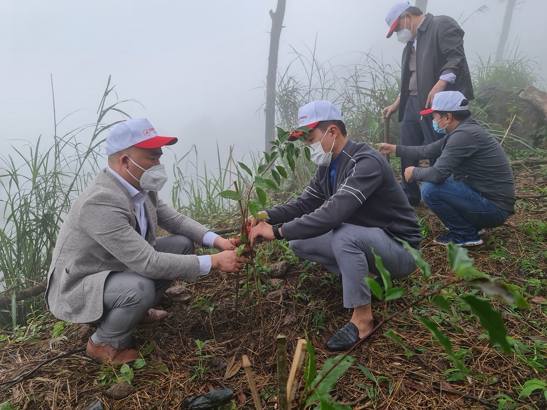 Chương trình Chùa xanh trồng mới 1003 cây tại đền Sóc Sơn, Hà Nội