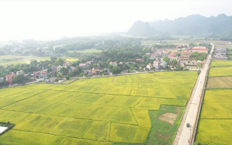 Ninh Bình lấy ý kiến góp ý cho dự thảo Luật Đất đai 2013 (sửa đổi)
