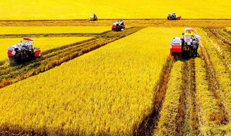 Hạn mức nhận chuyển nhượng, tập trung, tích tụ đất nông nghiệp
