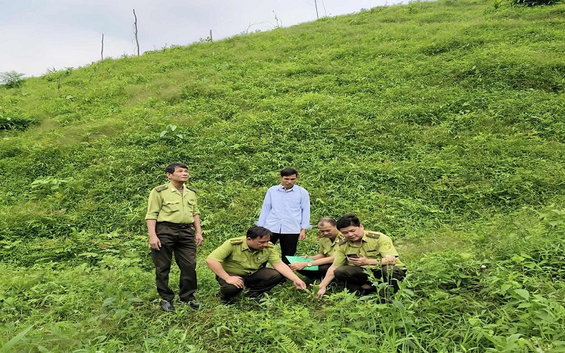 Kiểm lâm Yên Lập gìn giữ màu xanh đất Tổ