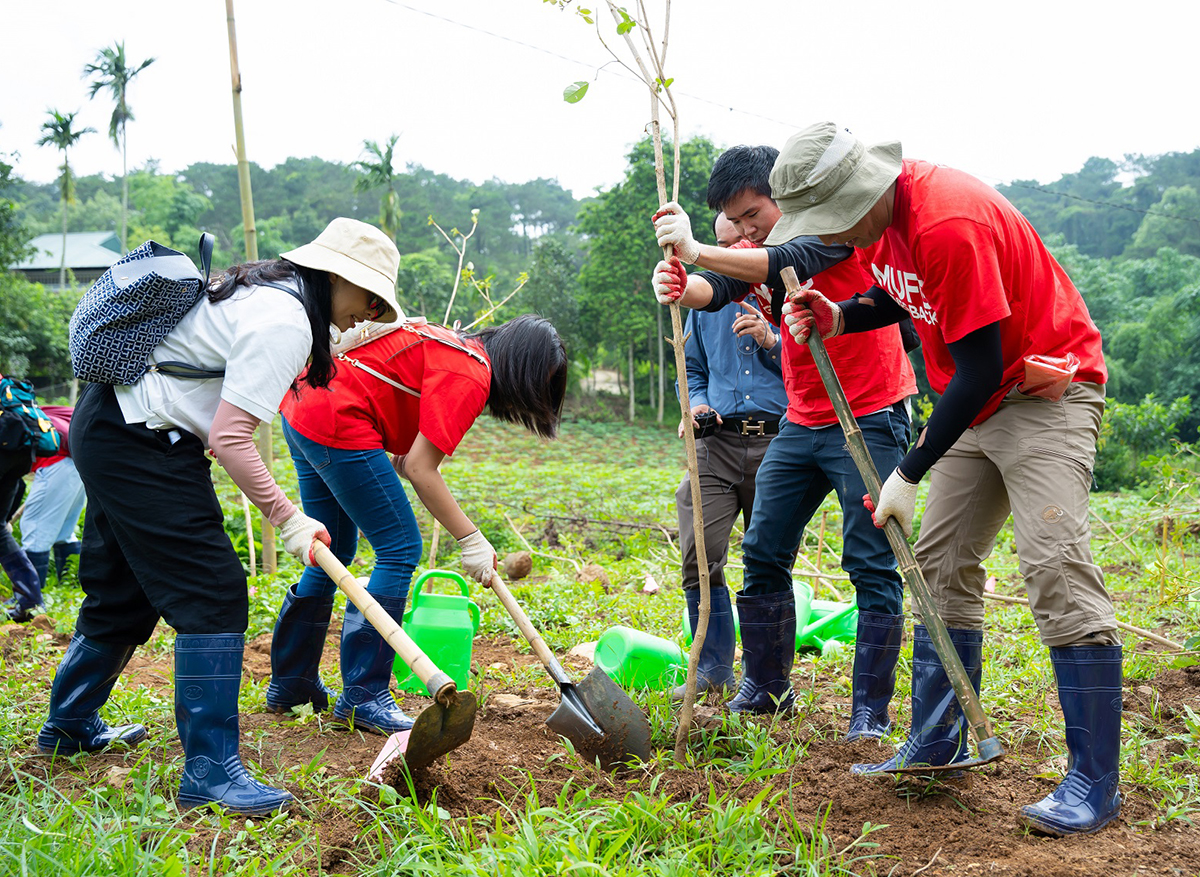 Hưởng ứng Ngày Môi trường thế giới với “MUFG Green day”