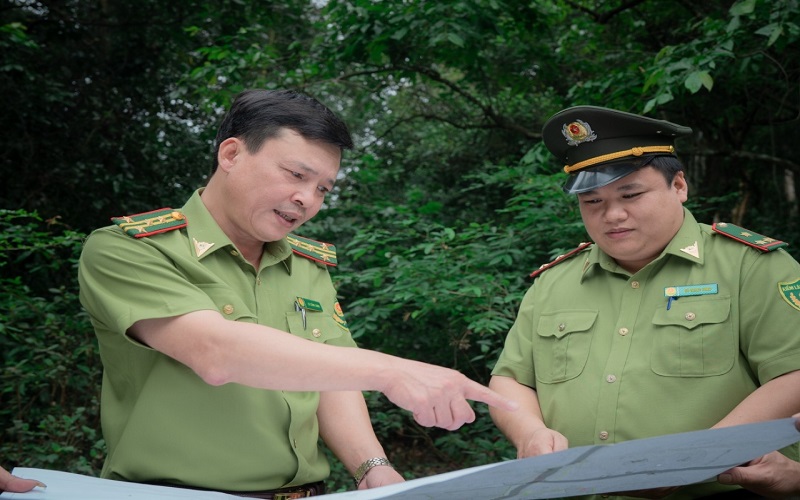 Tăng cường bảo vệ và phát triển rừng bền vững tại Thái Nguyên
