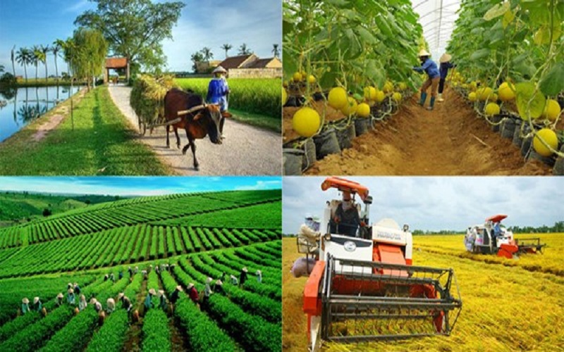 Từ ngày 1/7: Tổng điều tra nông thôn, nông nghiệp năm 2025