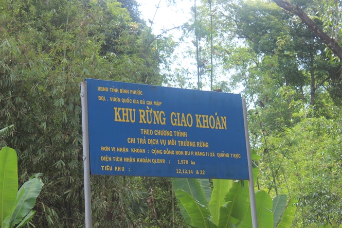 Xây dựng được mô hình có sức hấp dẫn đối với người dân nhận khoán trồng rừng