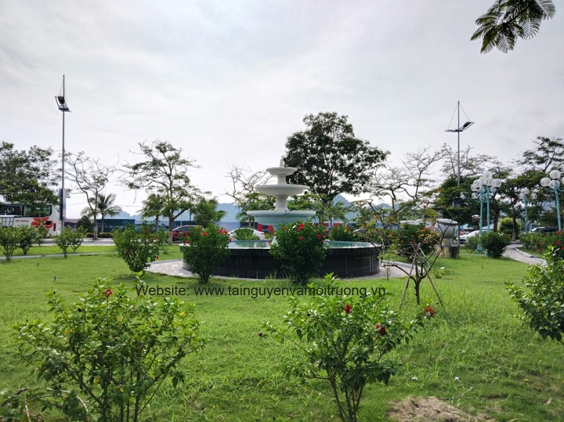 Đảo Cát Bà (Hải Phòng) đang nỗ lực vươn mình trong đổi mới, tạo dựng môi trường du lịch văn hóa, an toàn, thân thiện
