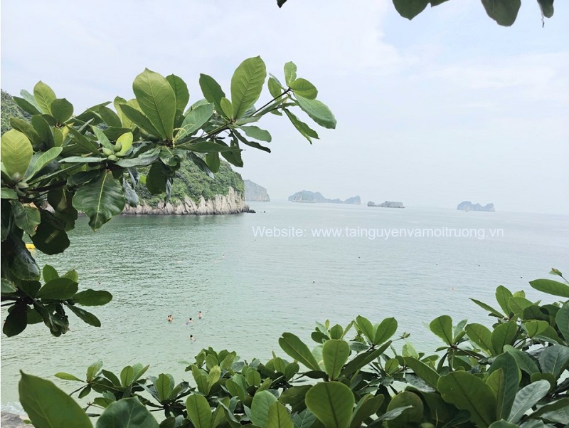 Đảo Cát Bà (Hải Phòng) đang nỗ lực vươn mình trong đổi mới, tạo dựng môi trường du lịch văn hóa, an toàn, thân thiện
