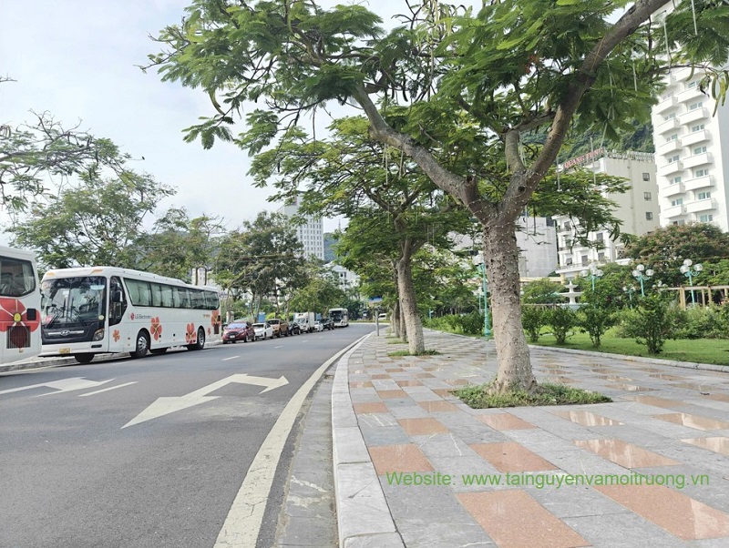 Đảo Cát Bà (Hải Phòng) đang nỗ lực vươn mình trong đổi mới, tạo dựng môi trường du lịch văn hóa, an toàn, thân thiện