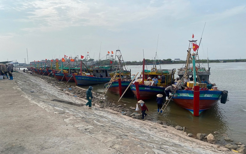Cảng cá Ninh Bình: Đảm bảo đáp ứng yêu cầu dịch vụ hậu cần nghề cá