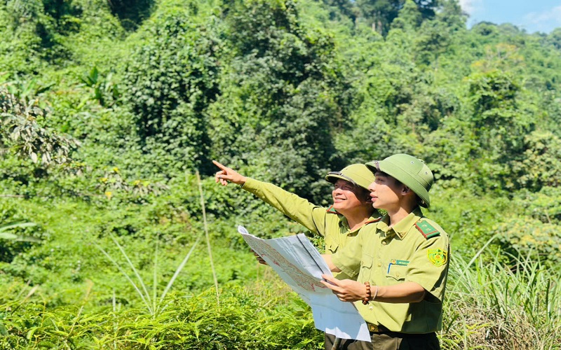 Nghệ An nỗ lực bảo vệ và phát triển rừng