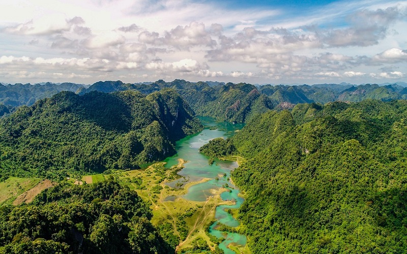 Lạng Sơn chủ động trong quản lý, bảo vệ và phát triển rừng